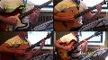 Thumbnail image of The National - Sorrow Guitar video