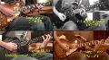 Thumbnail image of Metallica - Hero of the Day Guitar video